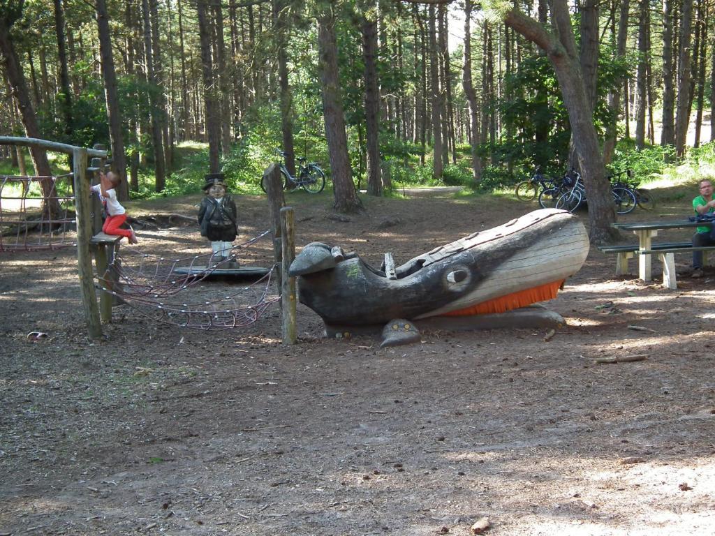 Hollumerduinen Hollum  Eksteriør bilde