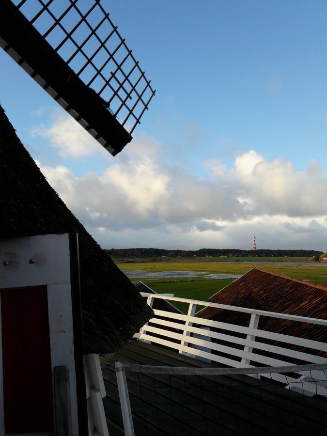 Hollumerduinen Hollum  Eksteriør bilde